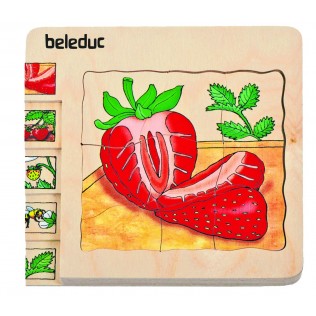 Puzzle Fraise