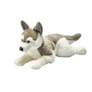 chien peluche husky