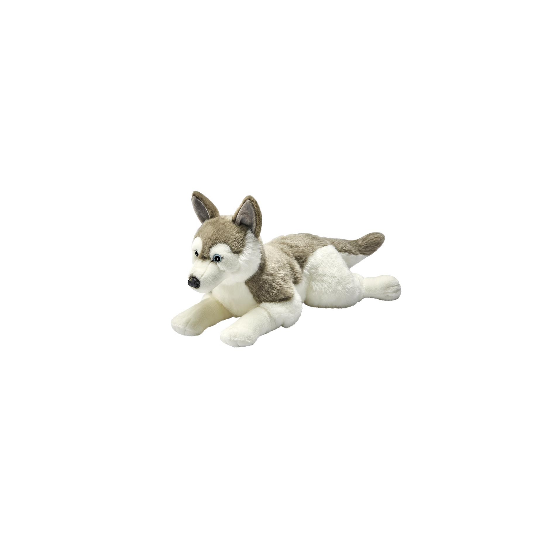 chien peluche husky