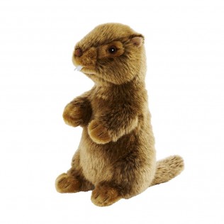 marmotte en peluche