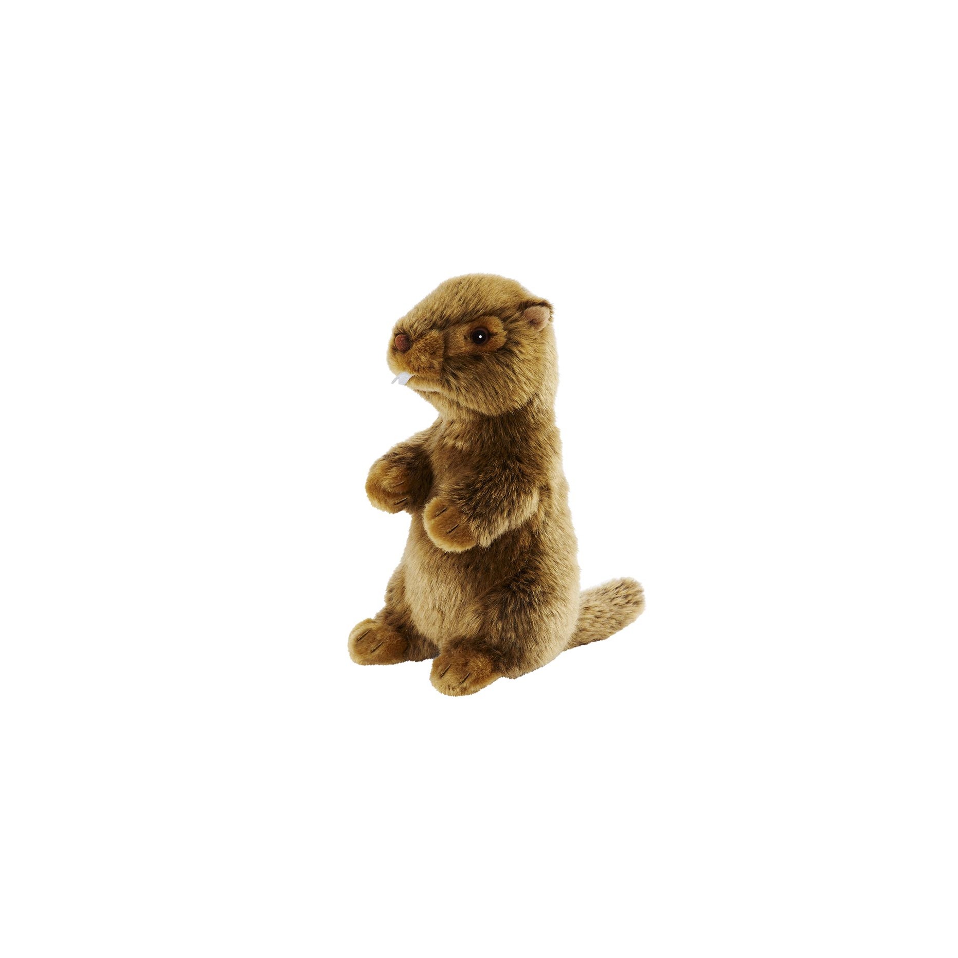 marmotte en peluche