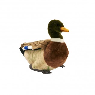 canard en peluche